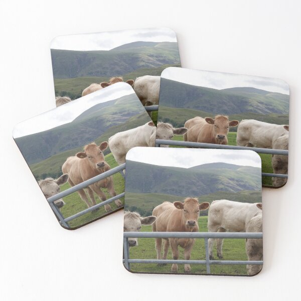 Item preview, Cows by the gate designed and sold by frogs123.