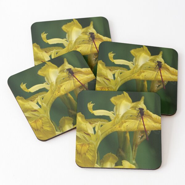 Item preview, Damselfly on Iris designed and sold by frogs123.