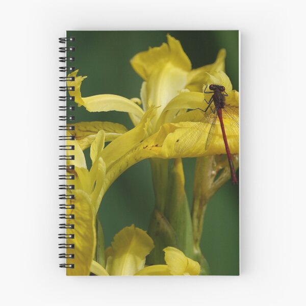 Item preview, Damselfly on Iris designed and sold by frogs123.