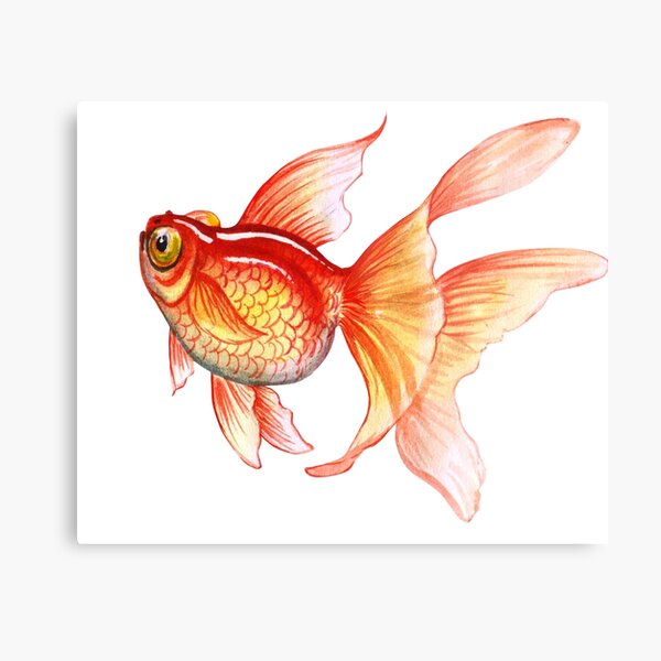 Tropical Fish Metal Print