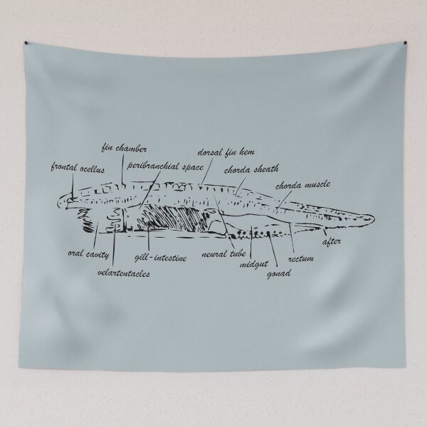 Item preview, lancelet fish designed and sold by RosArt100.