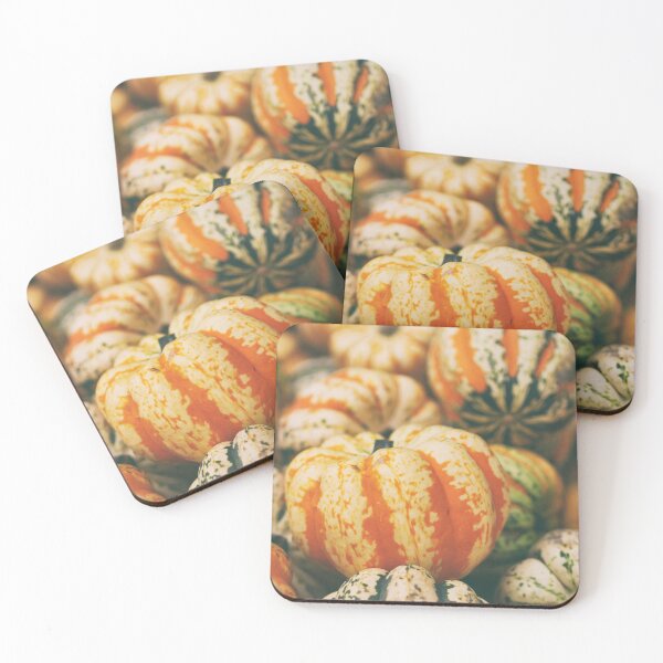 Fall Squash Harvest Coasters (Set of 4)