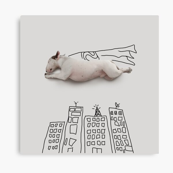 SUPERHERO Canvas Print