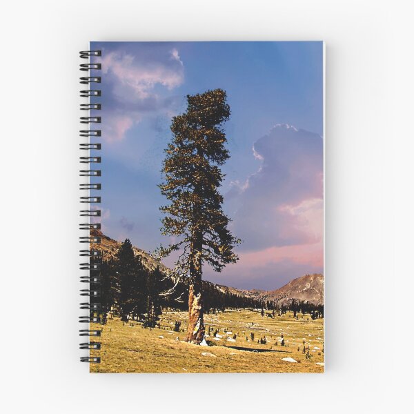 Item preview, Tuolumne Meadow designed and sold by Nancy Richard.