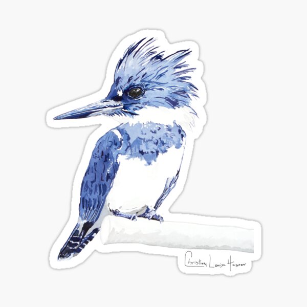 Kingfisher Sticker