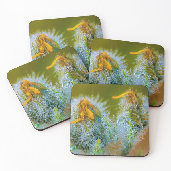 Item preview, Flower macro designed and sold by PeterCseke.
