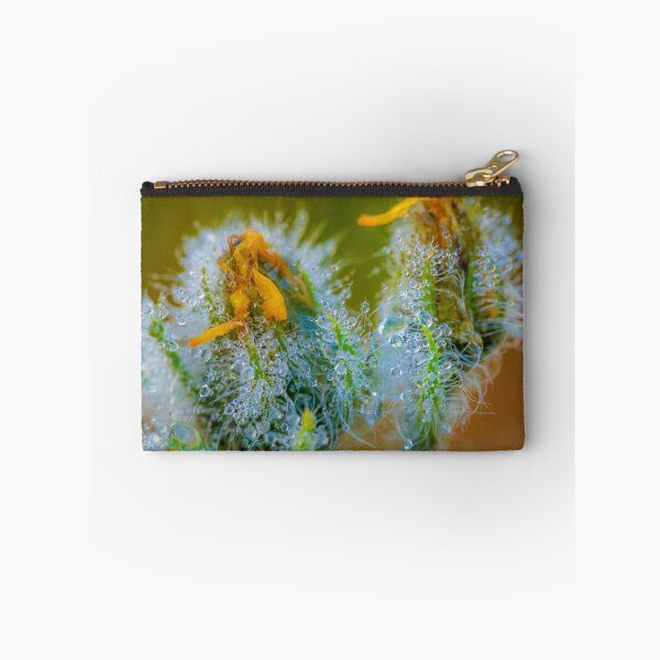Item preview, Flower macro designed and sold by PeterCseke.