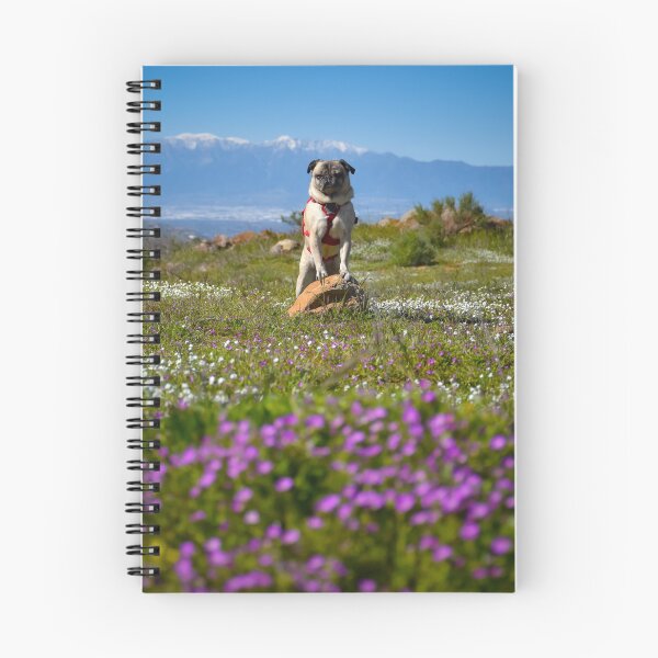Item preview, Pug Seeks Prominence in Search for Flower View designed and sold by pugventurephoto.