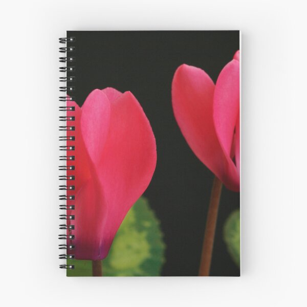 Item preview, Floral Display designed and sold by jwwallace.
