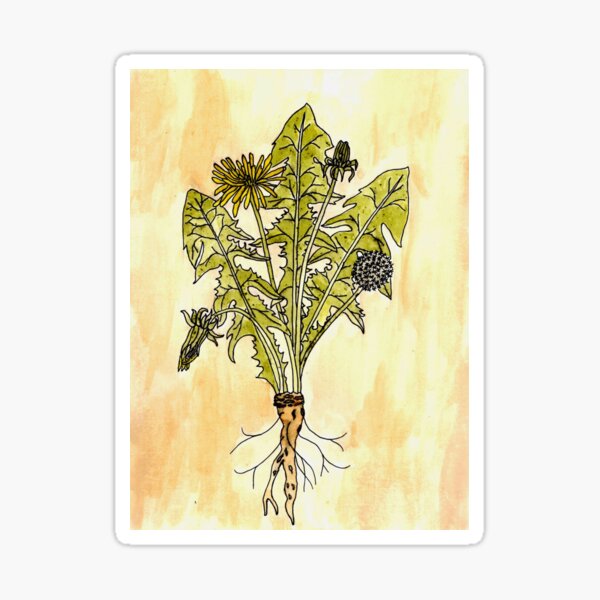 Dandelion Spirit Sticker