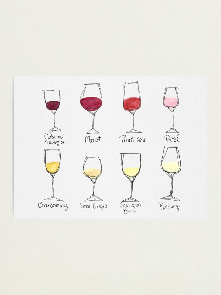 What Wine Glass to Use for Sauvignon Blanc, Chardonnay, Pinot Noir