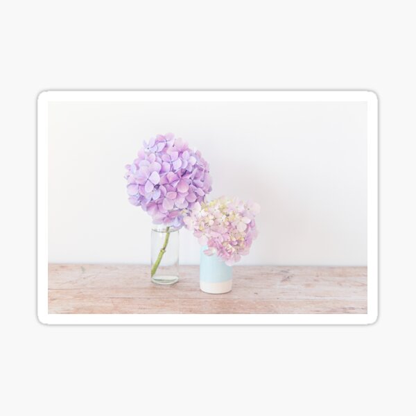 Pastel Hydrangeas in shades of purple Sticker