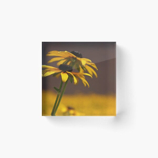 Item preview, Black-Eye Susan designed and sold by matthiasb316.
