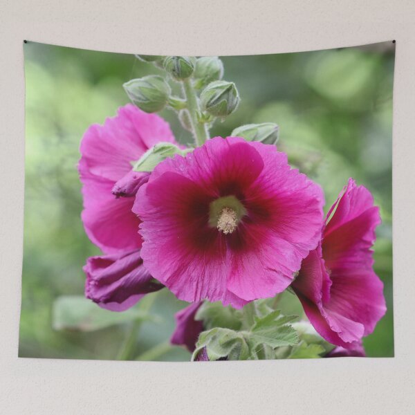Item preview, Hollyhock designed and sold by cuprum.