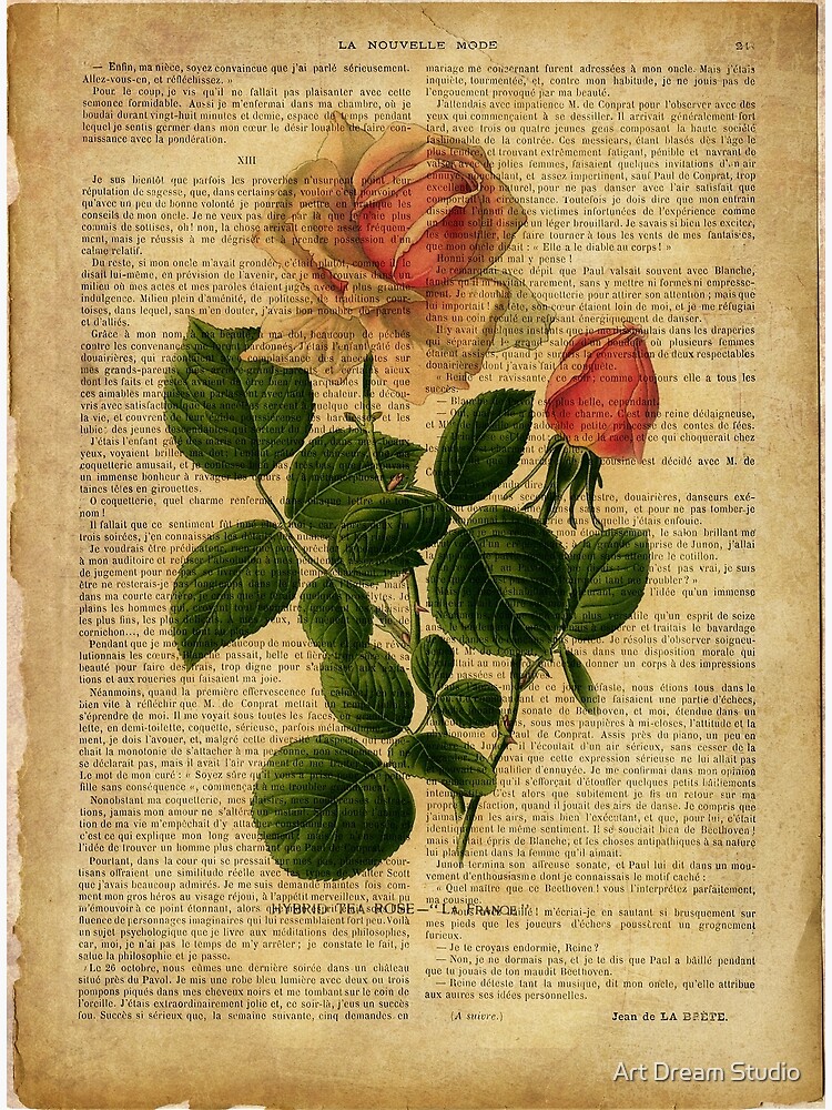 Botanical print, on old book page - garden flowers Tapestry for Sale by  Art Dream Studio