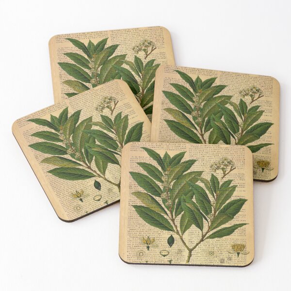 Item preview, Botanical print, on old book page designed and sold by Art by Lilia.