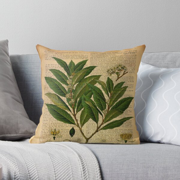 Botanical print, on old book page Throw Pillow