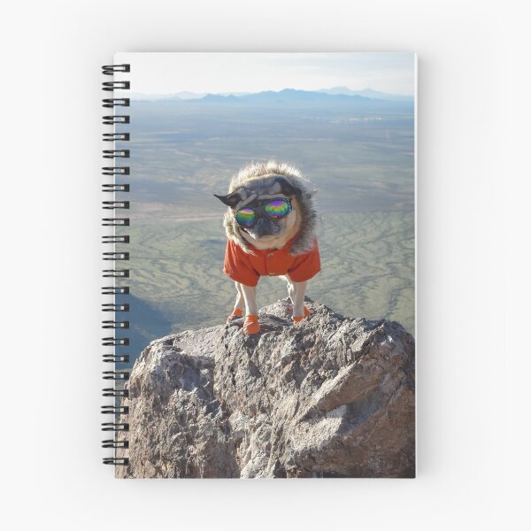 Item preview, Adventure Pug Peakture Perfect designed and sold by pugventurephoto.
