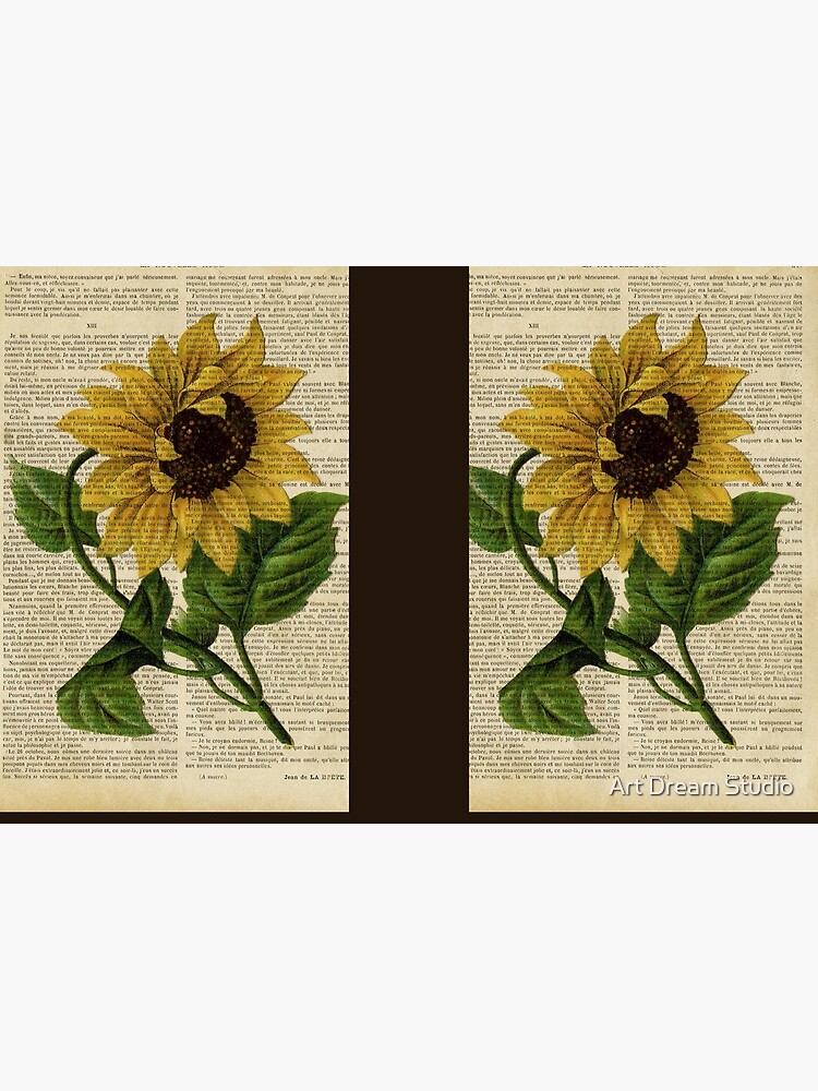 Botanical print, on old book page - flowers- Sunflower by lldd11