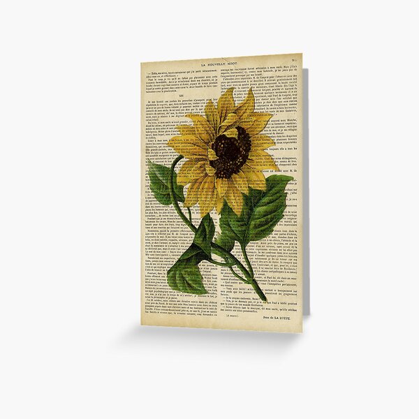 Botanical print, on old book page - flowers- Sunflower Greeting Card