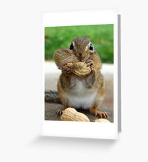 Overstuffed Greeting Card