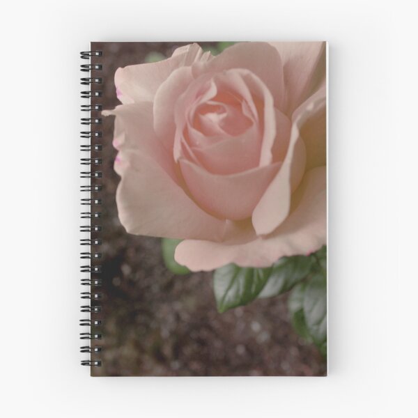 Item preview, pink rose designed and sold by Gold Notice.
