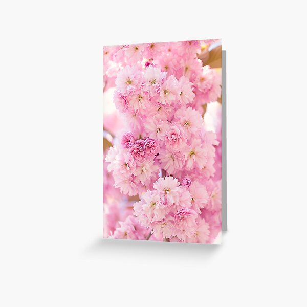 Item preview, Pastel pink cherry blossom designed and sold by Zoe Power.