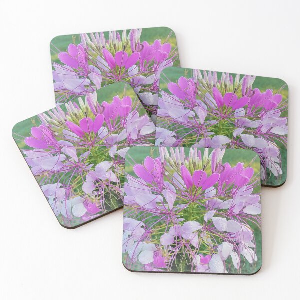 Item preview, Wildflowers in My Backyard #1 designed and sold by bellaura.