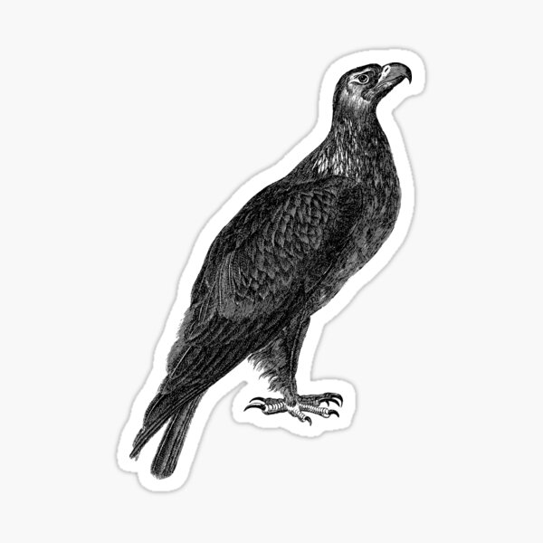 Item preview, Seeadler Schwarz-Weiß designed and sold by rice-shirts.