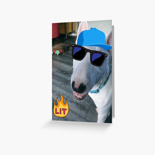 Item preview, @PupperNelson: Lit designed and sold by PupperNelson.