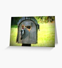 Look Whats Happening To My Mail Box Greeting Card