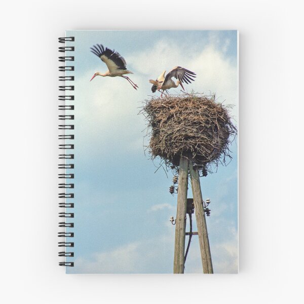 Item preview, Storks nesting designed and sold by Martin Langer.
