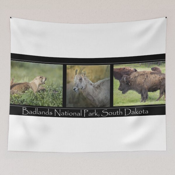 Item preview, Badlands Animals Poster designed and sold by PhotoArt by Joan Carroll.