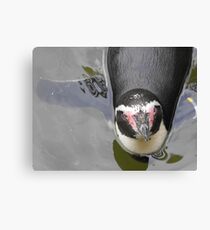 penguin Canvas Print