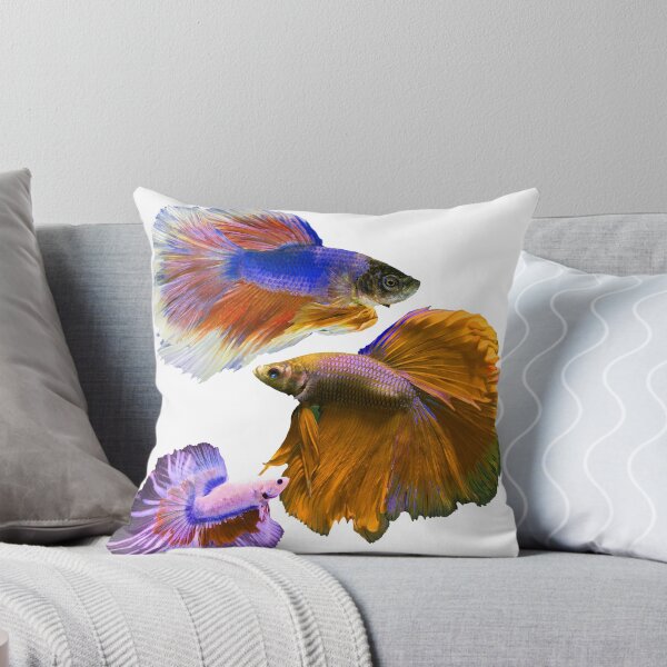 Item preview, 3 drawn fighting fish rainbow colorful designed and sold by Muk1.