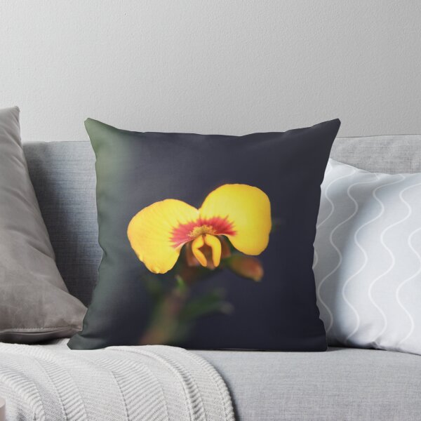 Item preview, Dillwynia tenuifolia designed and sold by ausnative.