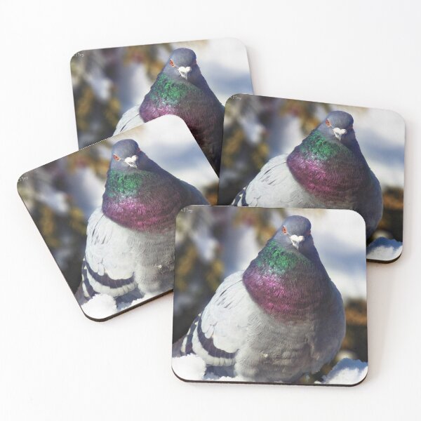 Item preview, Cute Feral Pigeon designed and sold by Yannik Hay.