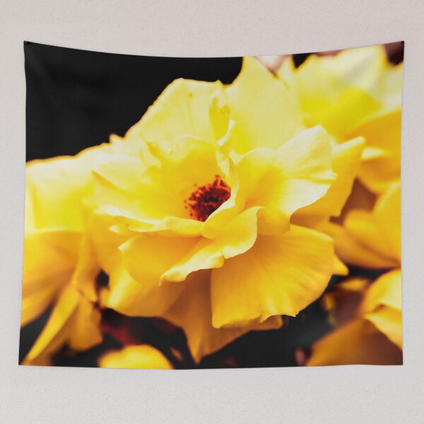 Item preview, Garden Photography #1 designed and sold by Olympia Ellinas.
