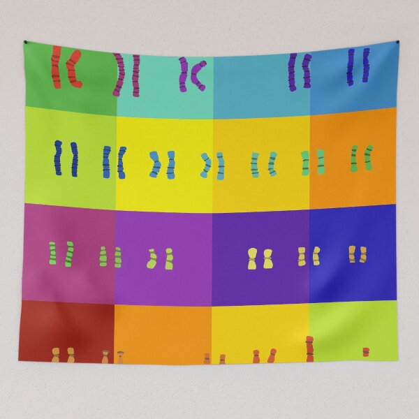 Item preview, Rainbow Karyotype designed and sold by Hodgepodge Bricolage.