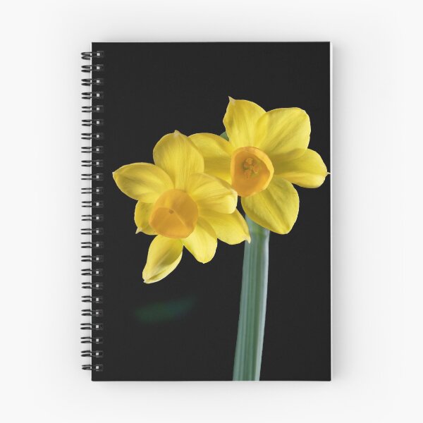 Item preview, Jonquils and bud designed and sold by David  Hibberd.