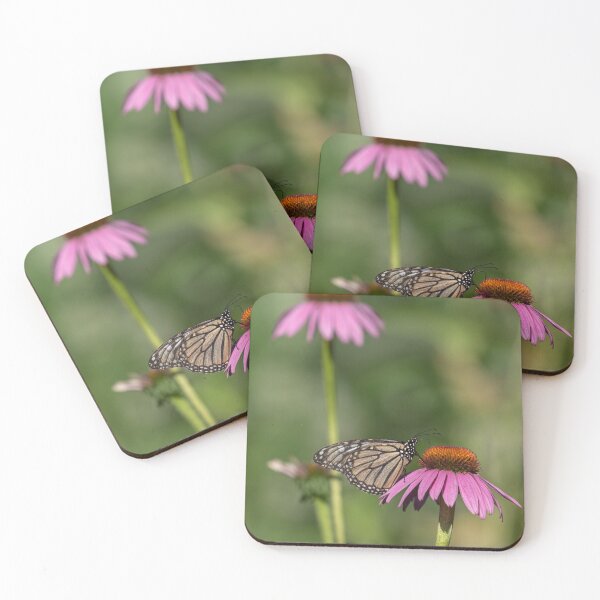Item preview, Monarch 2019-2 designed and sold by Thomasyoung.