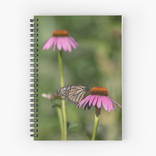 Item preview, Monarch 2019-2 designed and sold by Thomasyoung.