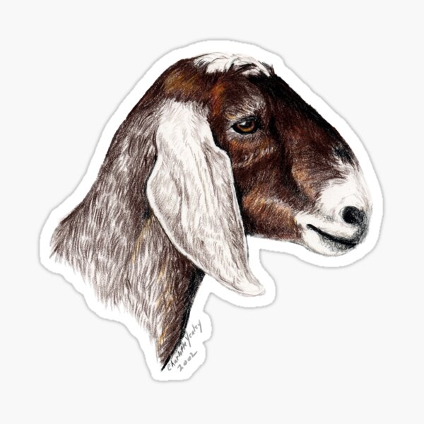 Nubian Goat Head Profile Sticker