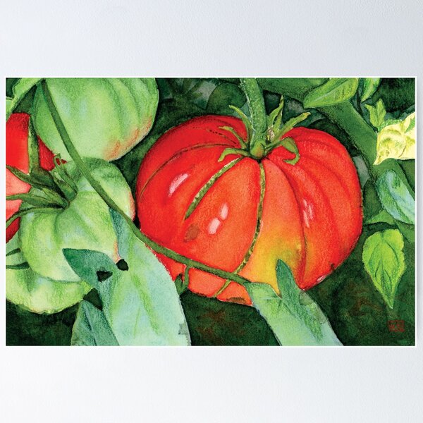 Item preview, Zippered Heirloom Tomato in Watercolor and Colored Pencil designed and sold by Kelly Roy.