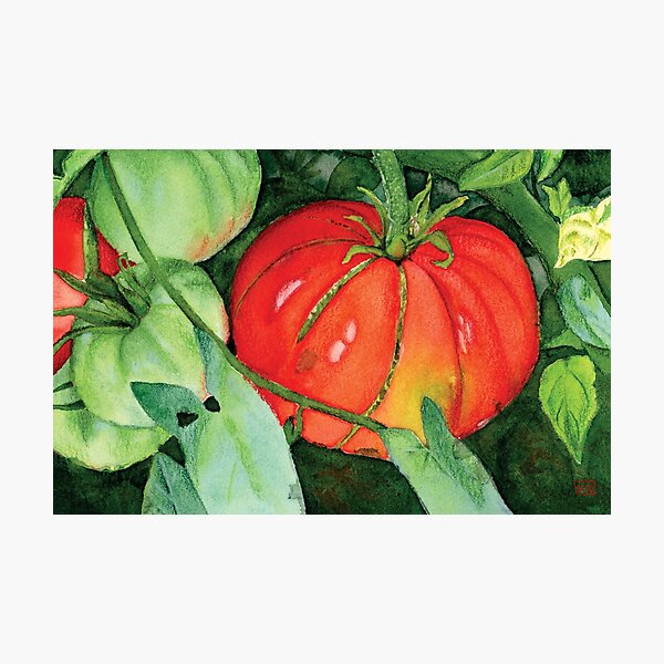 Item preview, Zippered Heirloom Tomato in Watercolor and Colored Pencil designed and sold by Kelly Roy.