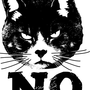 Artwork thumbnail, Angry Cat Says NO by EthosWear