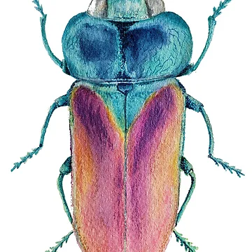 Artwork thumbnail, Beetle Bug by Reneesodyssey