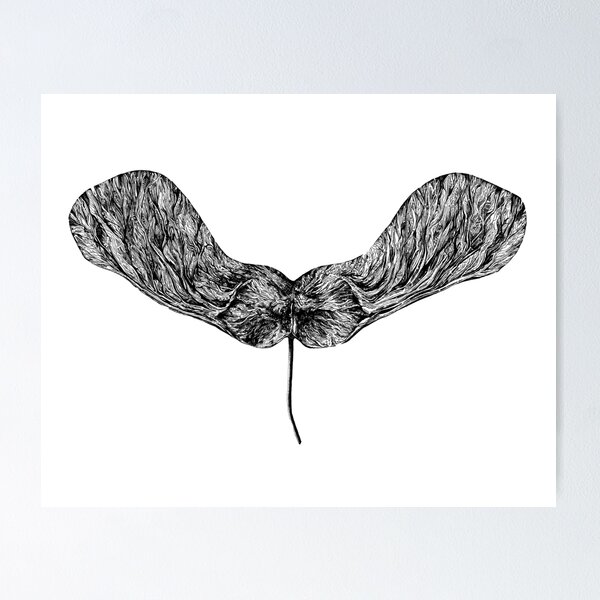 Item preview, Maple Seed Drawing designed and sold by marisvanvlack.