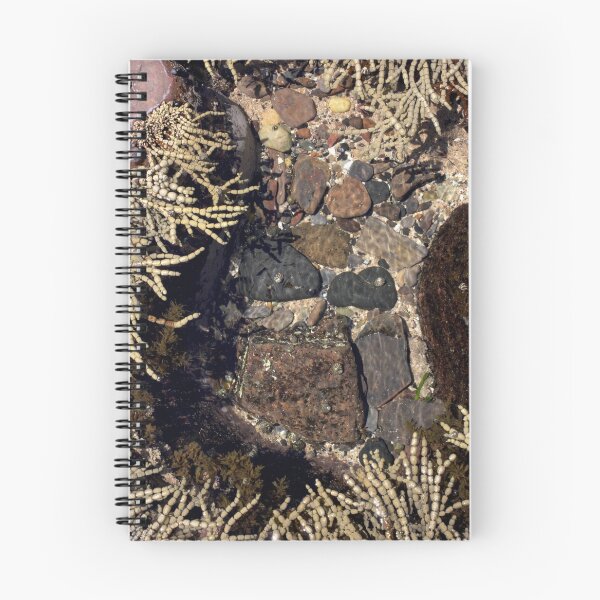 Item preview, South Coast Rock Pool designed and sold by smithrankenART.