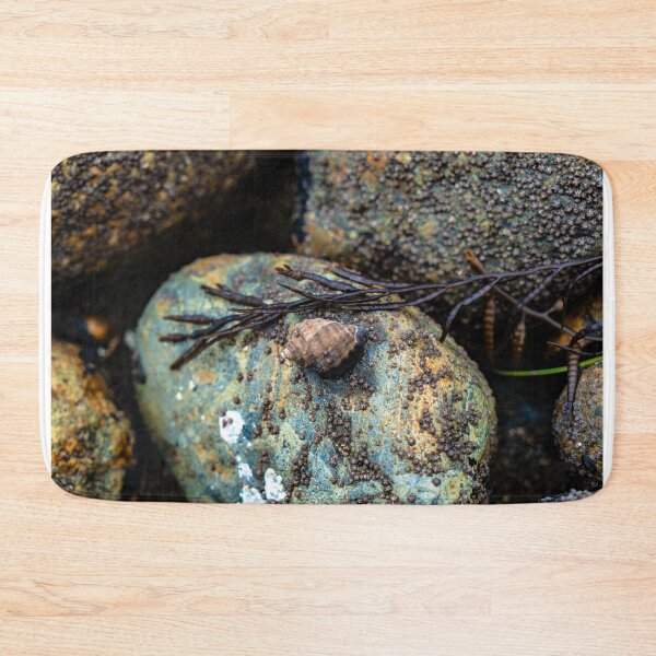 Item preview,  low tide - shell - tidepool creatures designed and sold by beenplanted.